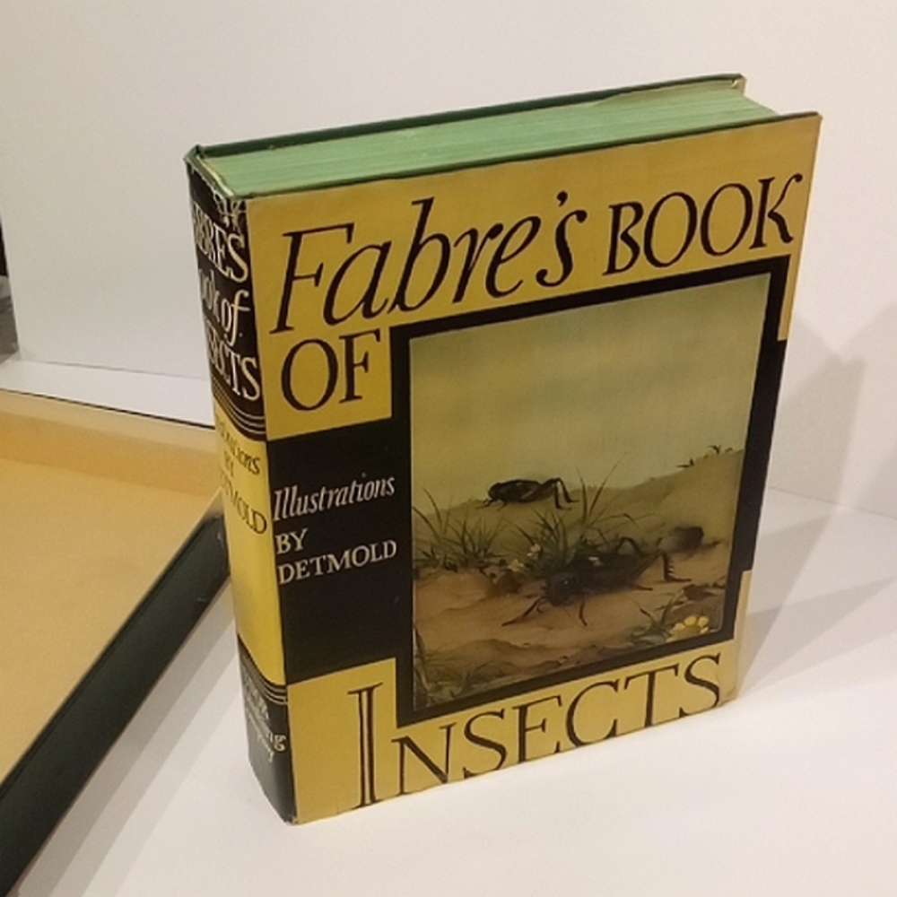 Vintage 1936 Fabre's Book of Insects